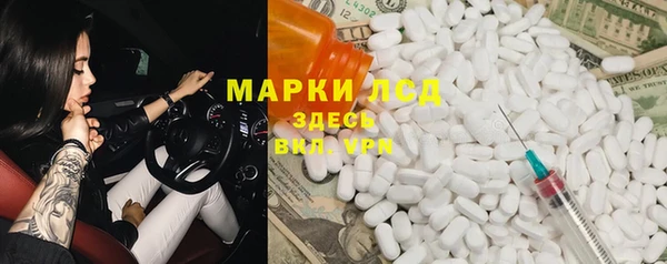 гидра Арсеньев