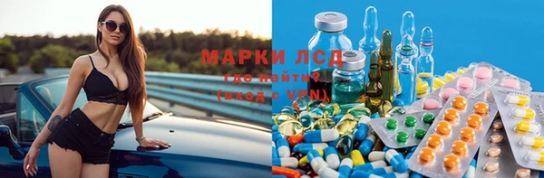 гидра Арсеньев