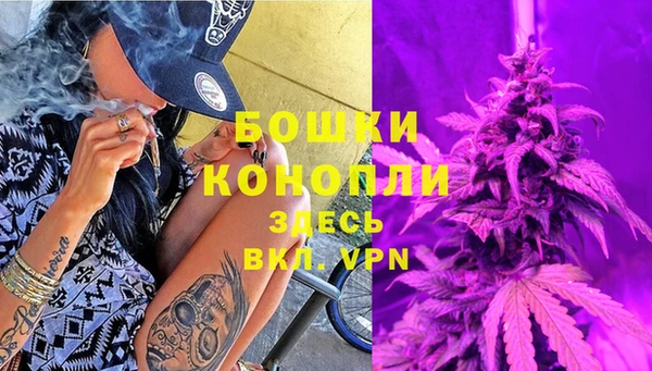 гидра Арсеньев